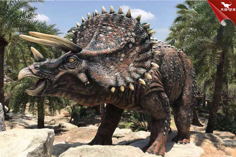 ���۵���