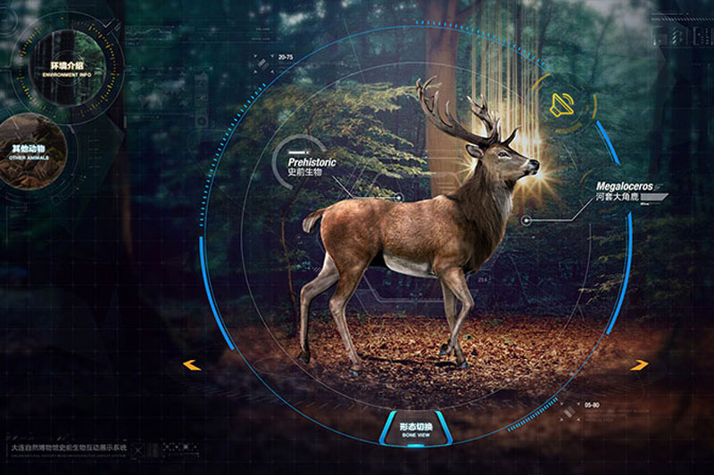 ������Ȼ��ʷ����ݱ��Ӿ������