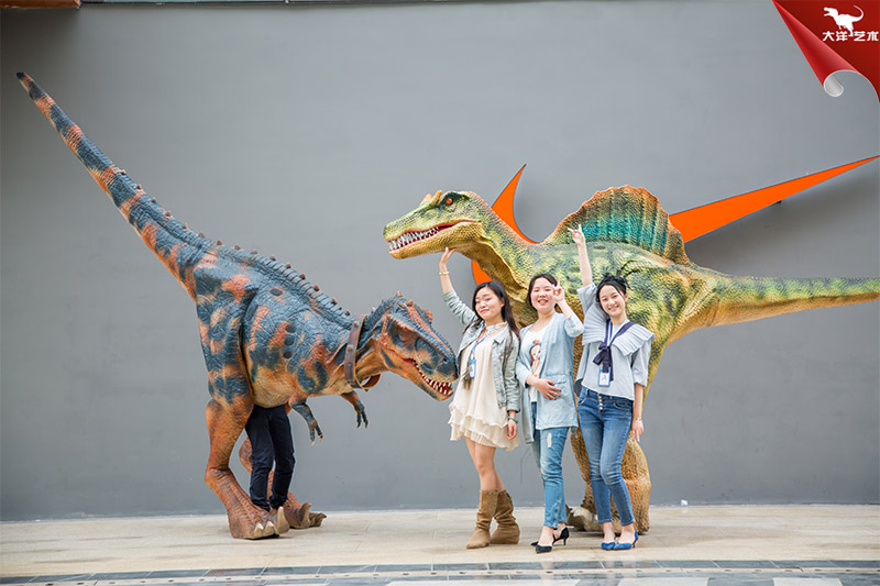 �����·�-�����ݳ�����-����Ƥ��