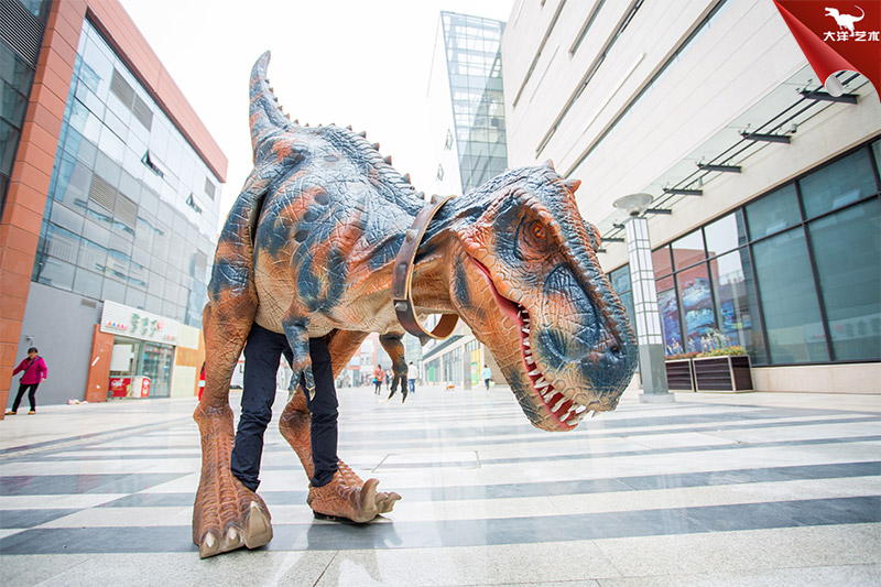 �ݳ��õĿ����·�-�����ſ�������-����Ƥ��