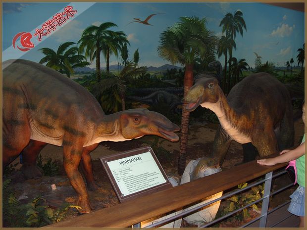 2005�꺫��������װ���