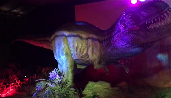 ���������-�������⹫԰��Ƶչʾ