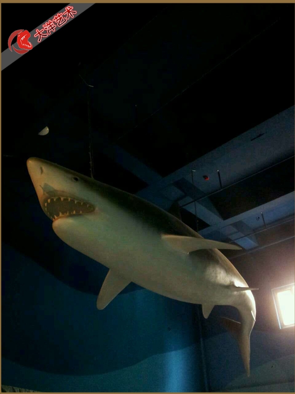 ΰ�ײ�����