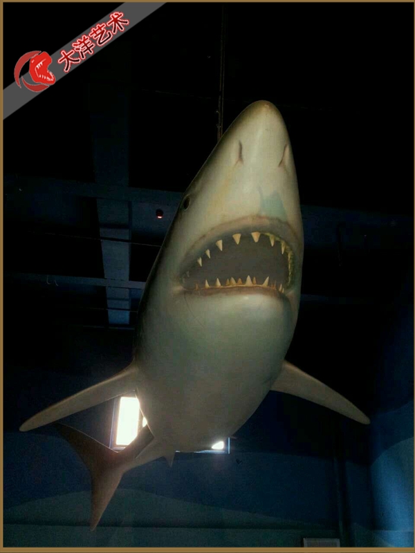 ΰ�ײ�����