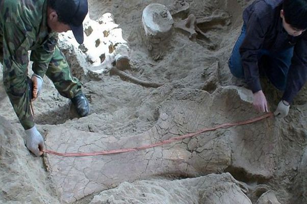 ΰ�ײ�����