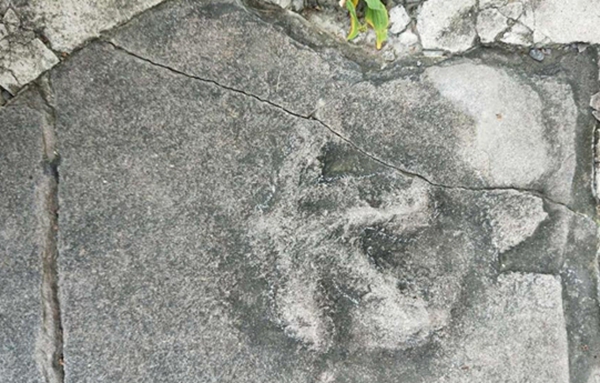 ΰ�ײ�����