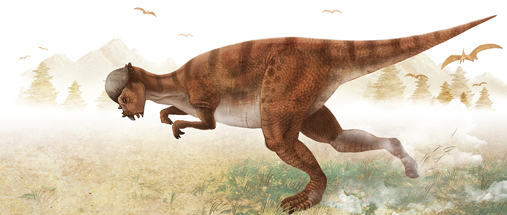 ΰ�ײ�����