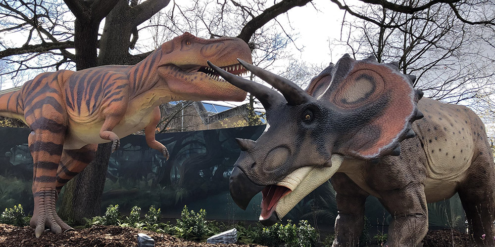 ����籾��������԰