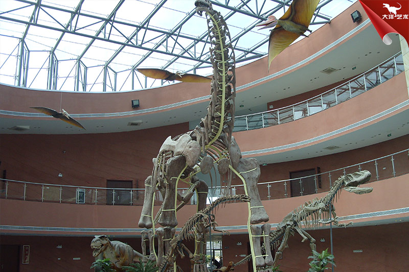 ��³����չ���ͻ�����ͼ