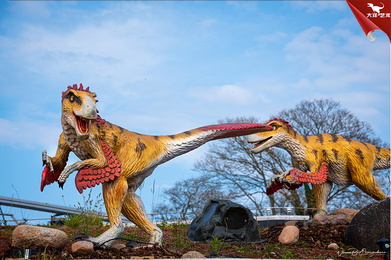 ����籾��������԰