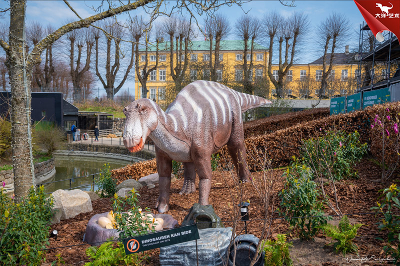 ����籾��������԰