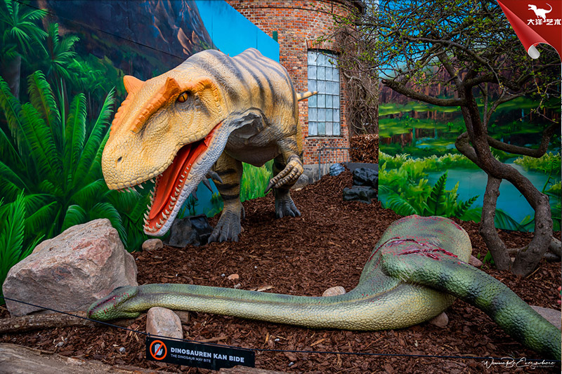 ΰ�ײ�����