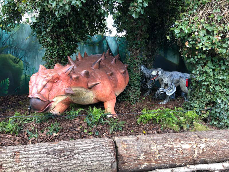 ����籾��������԰