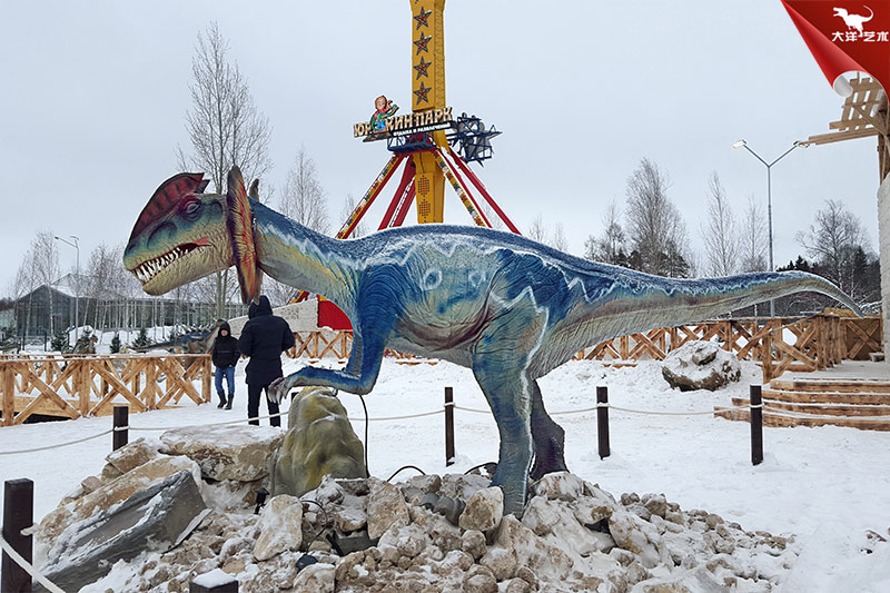 ����˹�����������԰