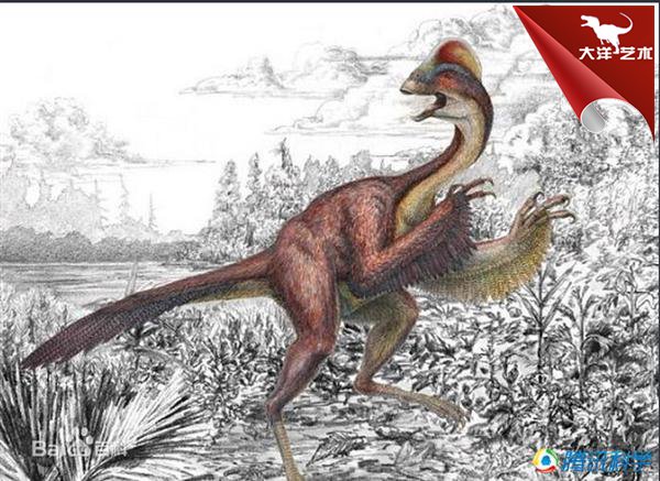 ΰ�ײ�����