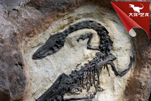 ΰ�ײ�����