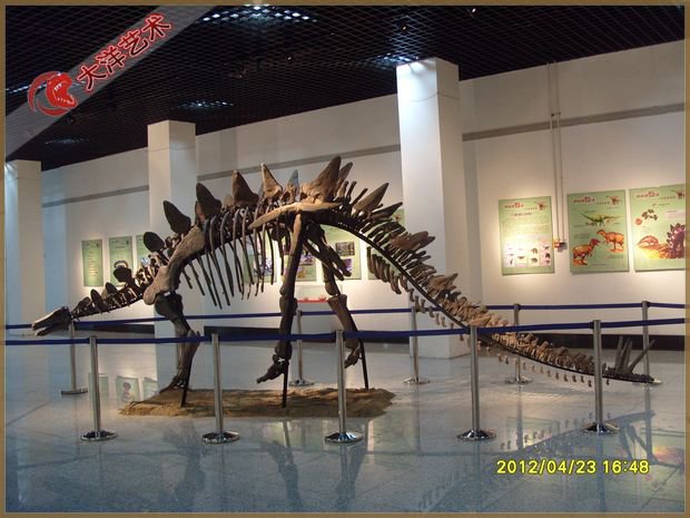 ΰ�ײ�����