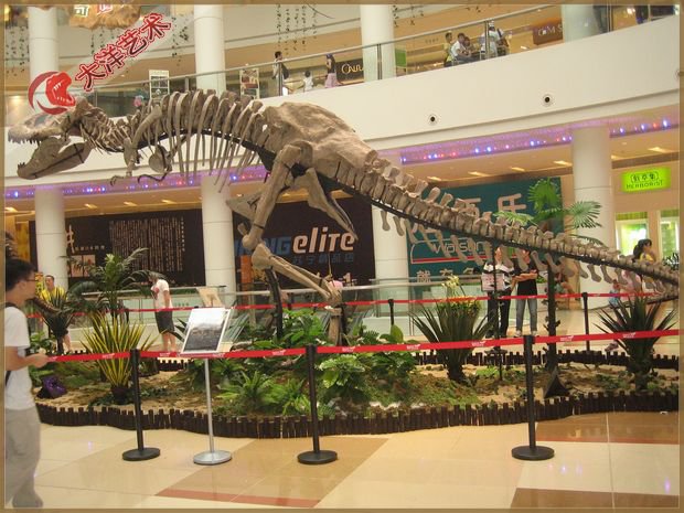 ΰ�ײ�����