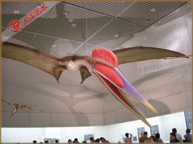 ΰ�ײ�����