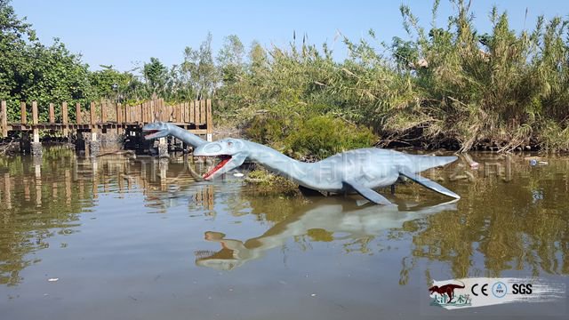 �������չ��