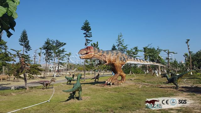 �������չ��