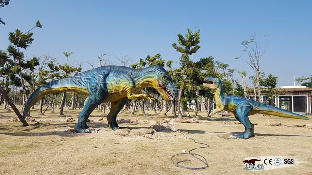 �������չ��