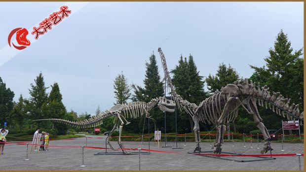 ΰ�ײ�����