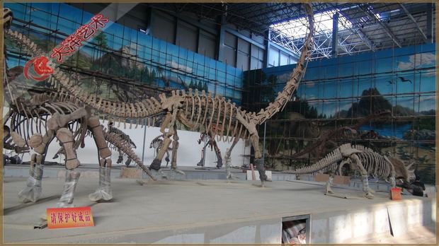 ΰ�ײ�����