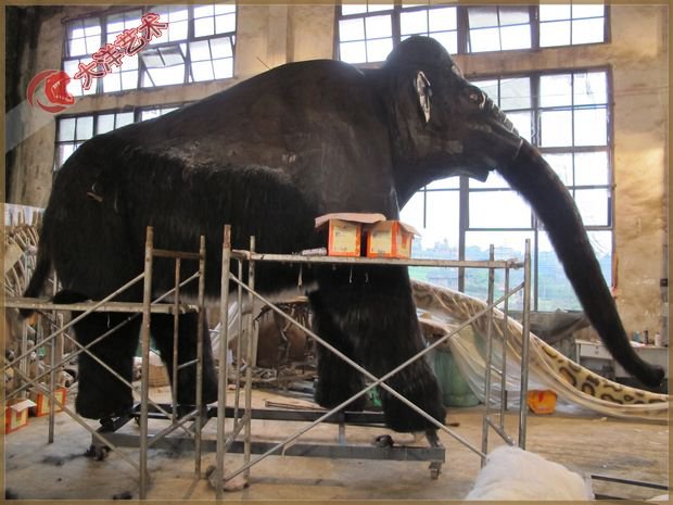 ΰ�ײ�����