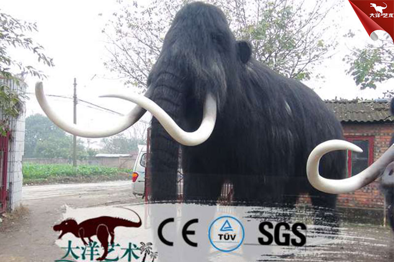 ���涯��-����������