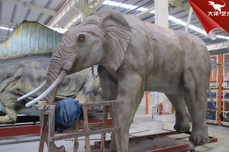 �������-���涯����������