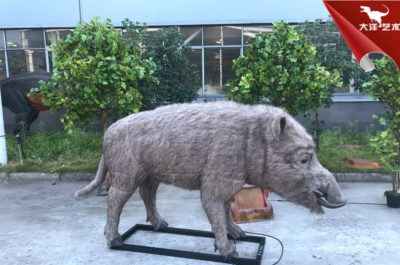 ���涯��-����Ұ��