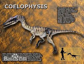 ΰ�ײ�����