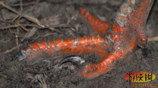 ΰ�ײ�����