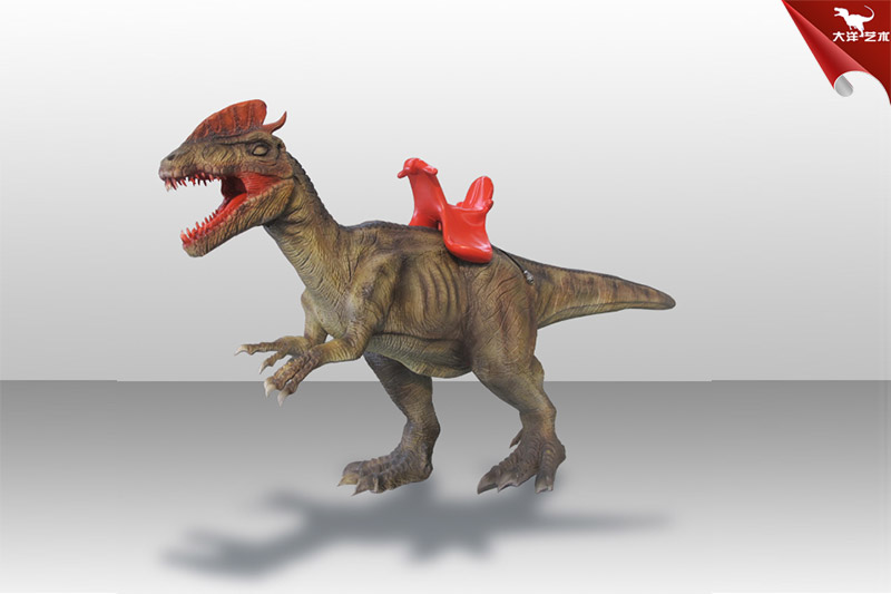 �����������-�������