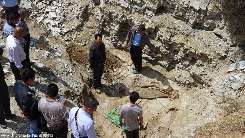 ΰ�ײ�����