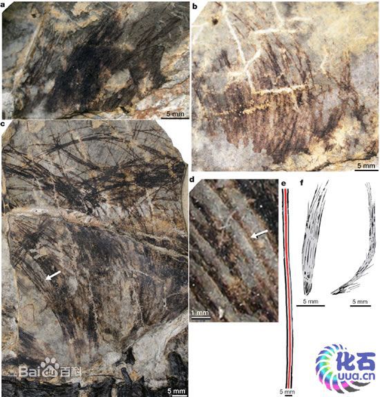 ΰ�ײ�����