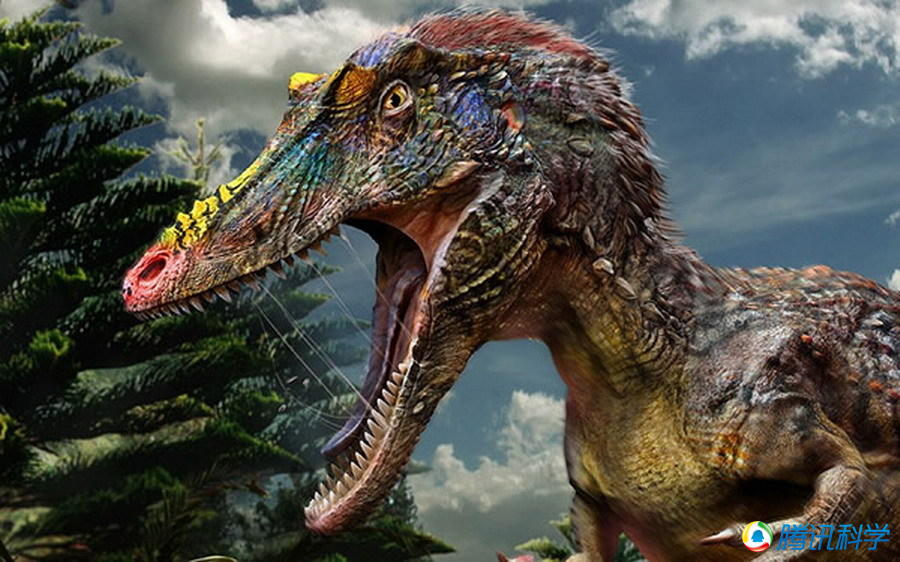 ΰ�ײ�����