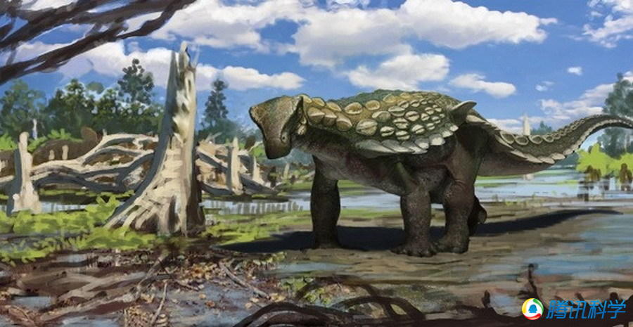 ΰ�ײ�����