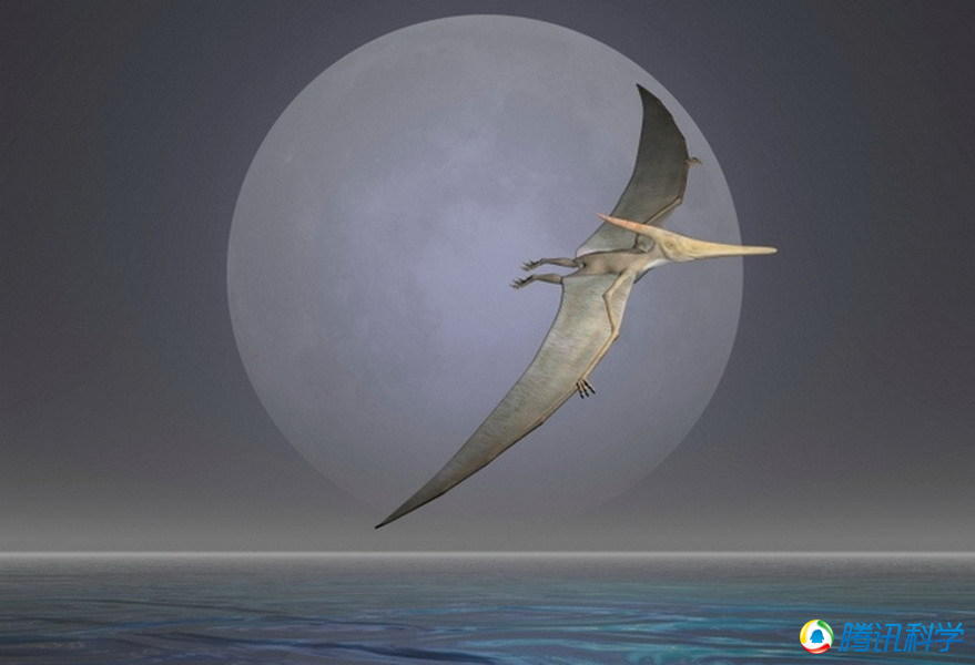 ΰ�ײ�����