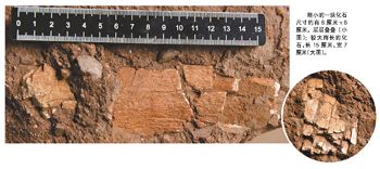 ΰ�ײ�����