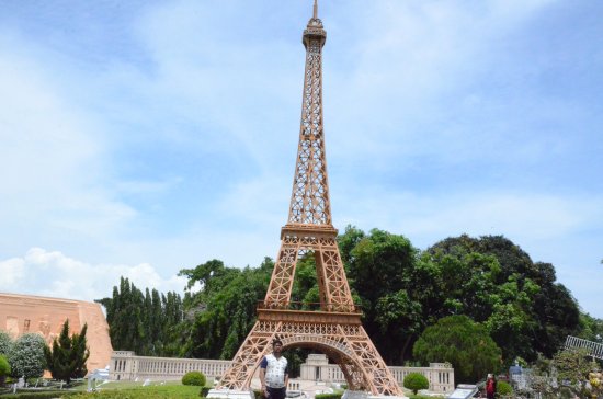 ΢������-���ƶ�����