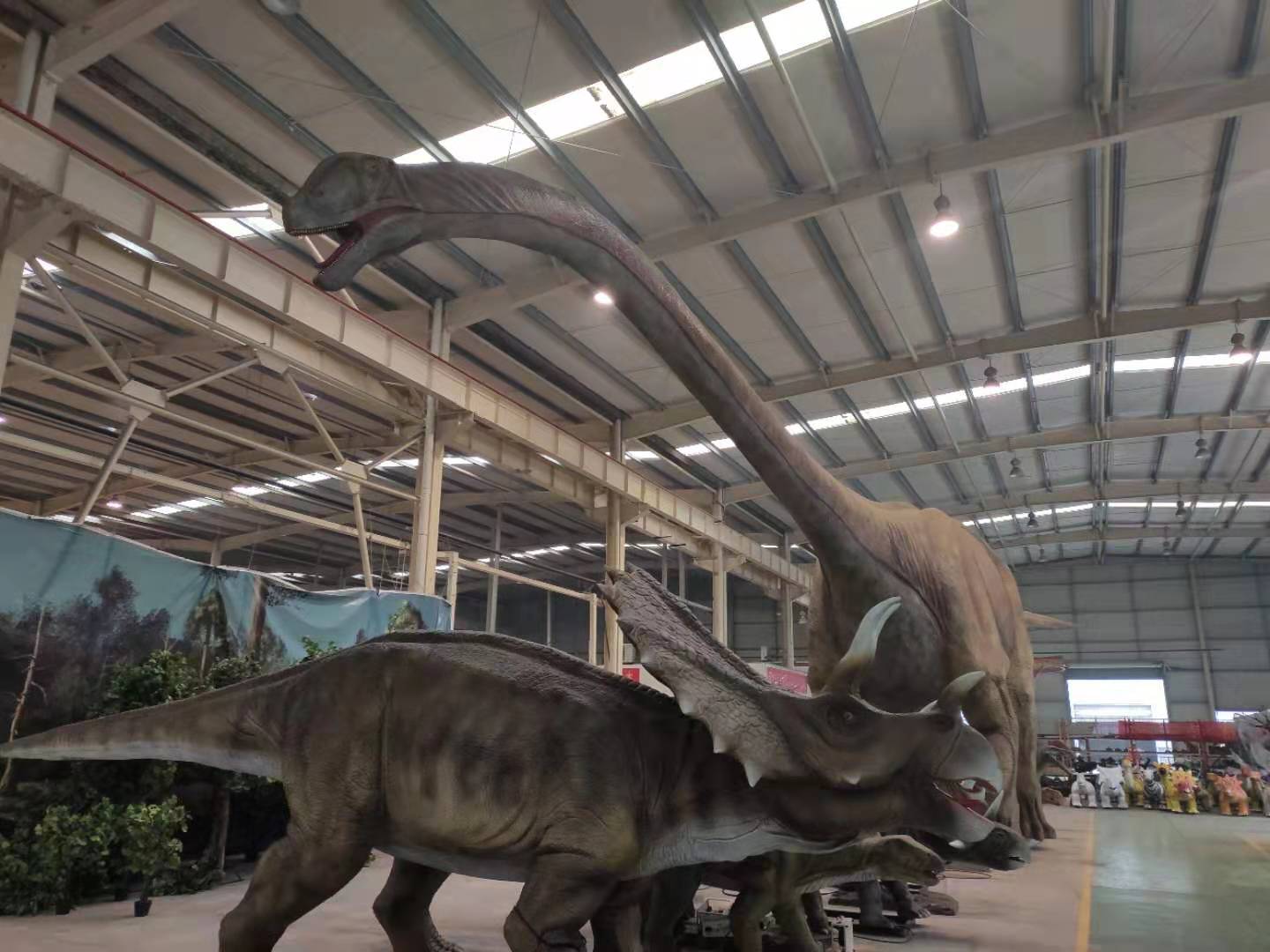 ���������������������������������Ż�