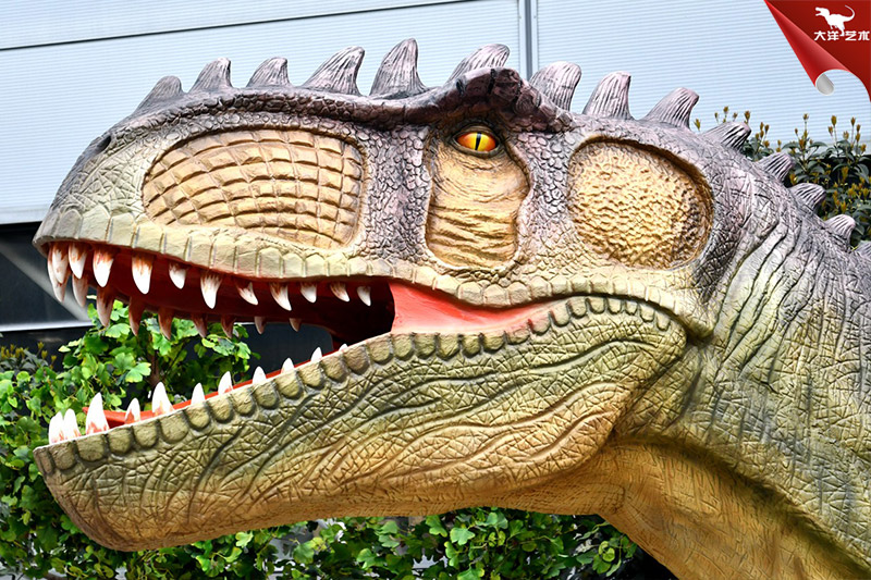 ����������������������Ϸ���������ͷ