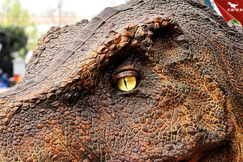 ���������������������������ͷģ��