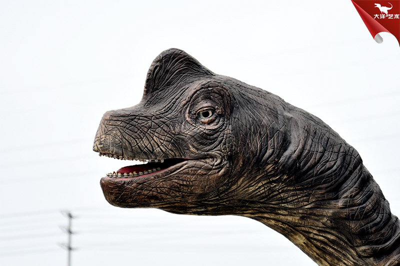 �������-��������ͷ