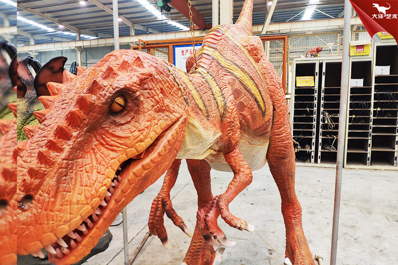 ����Ƥ���������������������߿���