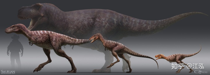 ������һ����Ϊ21���׶��������������������׶���ΪҪ����