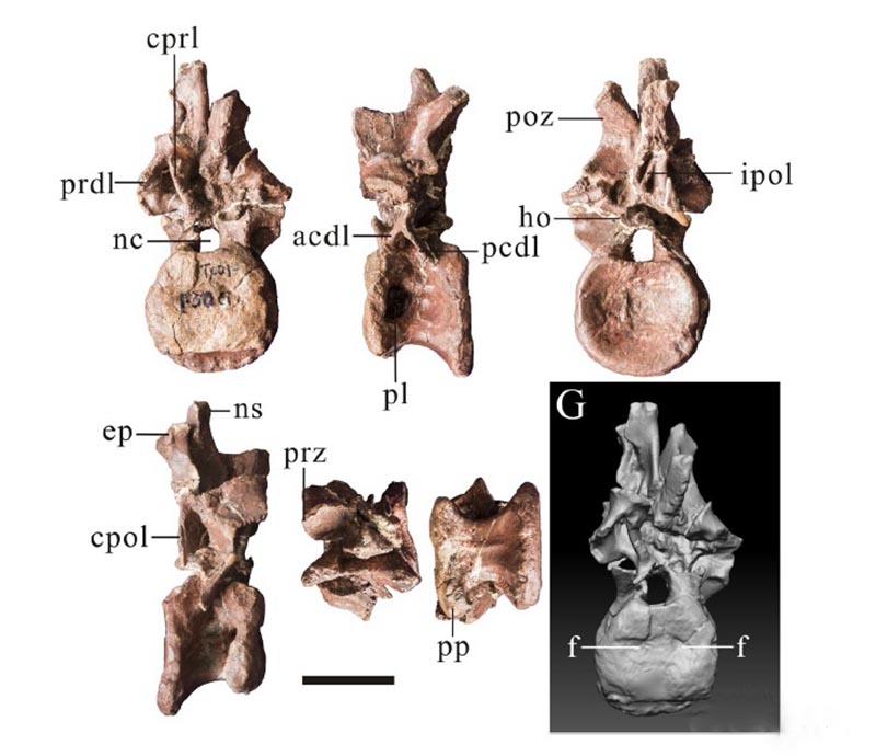 ΰ�ײ�����