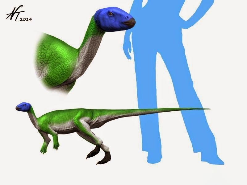 ΰ�ײ�����